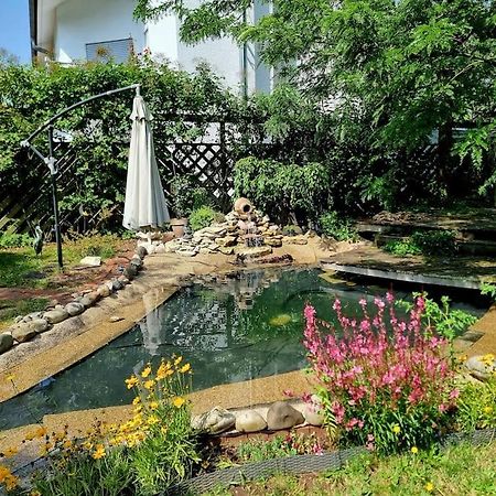 Eine Oase Bei Tara In Waldacker Apartment โรดาร์มาร์ค ภายนอก รูปภาพ