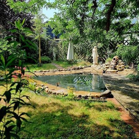 Eine Oase Bei Tara In Waldacker Apartment โรดาร์มาร์ค ภายนอก รูปภาพ