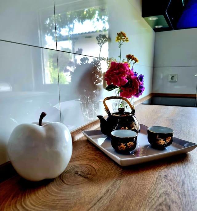 Eine Oase Bei Tara In Waldacker Apartment โรดาร์มาร์ค ภายนอก รูปภาพ